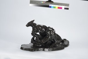 Känguru und Hund