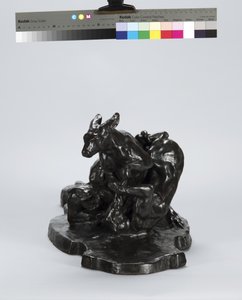 Känguru und Hund