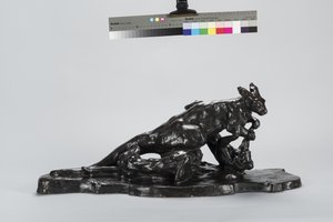 Känguru und Hund