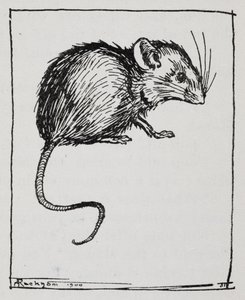 Eine Maus