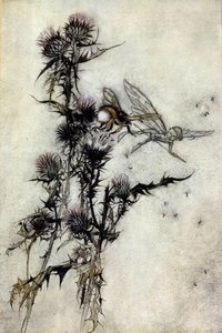 Illustration von Arthur Rackham (1867-1939) für Ein Sommernachtstraum von William Shakespeare von Arthur Rackham