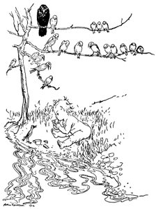 Illustration für Peter Pan