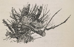Die Grinsekatze im Baum