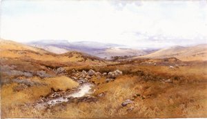 Auf den Windermere-Hügeln