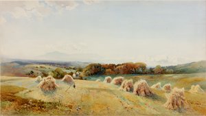 Auf den Windermere-Hügeln