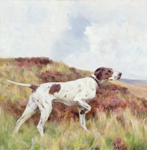 Ein Pointer von Arthur Wardle