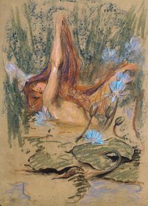 Nymphea, ca. 1890 von Arthur Wardle