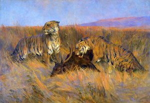 Tiger beim Töten