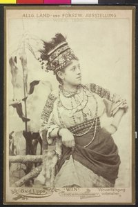 Huzulin von Artist Unknown