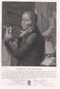 Paolo Mascagni von Artist Unknown