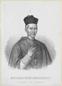 Pietro Luigi Speranza von Artist Unknown