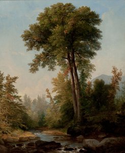Ein natürlicher Monarch von Asher Brown Durand