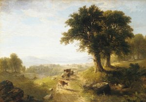 Flusslandschaft