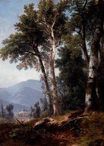 Waldlandschaft, um 1850 von Asher Brown Durand