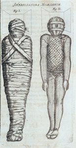 Mumien - in „Sphynx mystagoga“ von Athanase Kircher