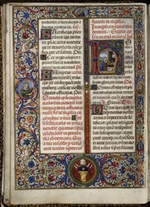 Missel de Thomas James: Lettrine mit der Geburt