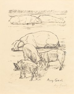 Schweine