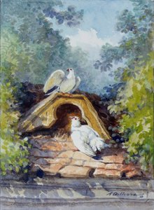 Die zwei Aquarelltauben von Auguste Delierre für die Fabel von Jean de la Fontaine (19. Jahrhundert). Chateau Thierry. La Fontaine Museum von Auguste Delierre