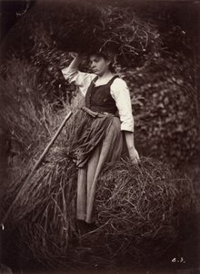 Bauer