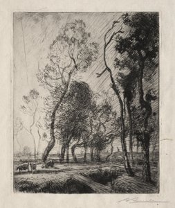Sonnenuntergang hinter den Bäumen von Auguste Louis Lepère