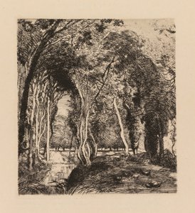Auguste Lepère: Unterholz, bei La Rigonette (Vendée)