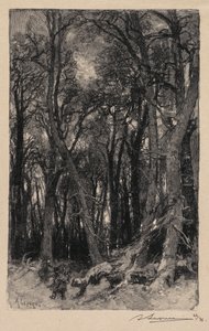 Wald von Fontainebleau: Bas-Bréau, 1890 von Auguste Louis Lepère