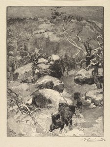 Wald von Fontainebleau: Cuvier-Châtillon-Fels