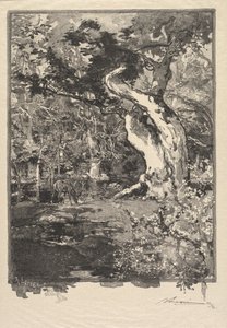 Fontainebleau-Wald: Plateau de Bellecroix, Le Clovis von Auguste Louis Lepère