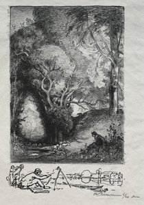 La Ravine im Juni
