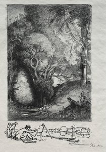 La Ravine im Juni