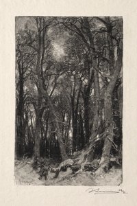Der Bas Breau von Auguste Louis Lepère