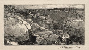 Der Zirkus des Long-Rocher von Auguste Louis Lepère