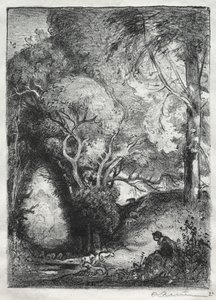 Die Schlucht im Juni