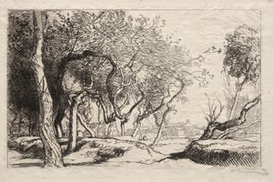 Der verdrehte Baum, 1915