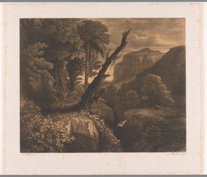 Berglandschaft mit Vogel fliegend durch ein Tal von Auguste Numans
