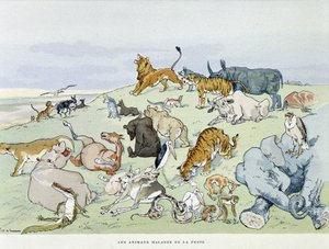 Les animaux malades de la peste - in Les Fables de la Fontaine, illustriert von Auguste Vimar (1851-1916), Tours, bei A. Mame & Fils