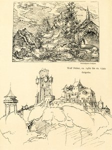 Naturstudie von Augustin Hirschvogel