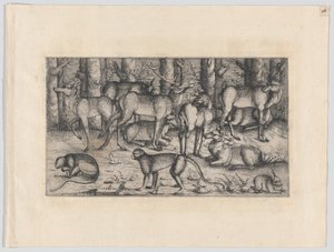 Hirsche im Wald, 1545