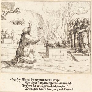 Die rivalisierenden Opfer von Elia und den Priestern des Baal von Augustin Hirschvogel