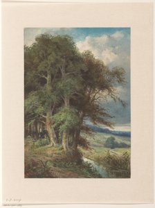 Hohe Bäume entlang eines Baches von Augustin Taurel