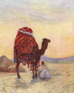 Der Sänftenträger des Bash Aga, Biskra von Augustine Fitzgerald