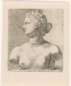 Büste der Venus de