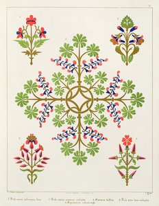 Rosenmotiv Tapetendesign, gedruckt von M. und N. Hanhart