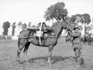 Ein australischer Soldat, 244 Fahrer F W Stephenson, 2. Australisches Maschinengewehrbataillon, mit einem Packpferd, das mit einem Maschinengewehr beladen ist, an der australischen Packtrainingsschule in Morbecque, 29. August 1917
