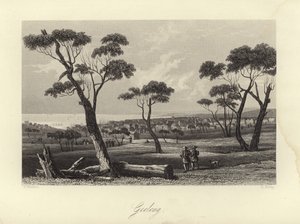 Geelong von Australian School