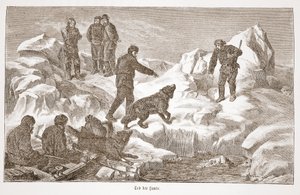 Jagd mit Hunden, 1876 von Austrian School
