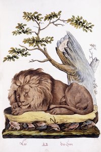 Löwe, 1794