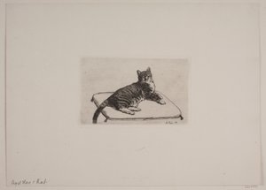 Liegende Katze von Axel Hou