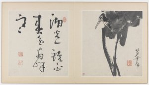 Seiten aus einem Album mit Blumen, Vögeln, Insekten und Fischen, Qing-Dynastie, 1688-89 (Tinte auf Papier)