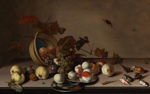 Früchtestillleben mit Weidenkorb, Muscheln und Schmetterling, erste Hälfte des 17. Jahrhunderts